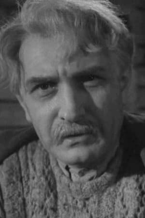 ალექსანდრე ჰაი