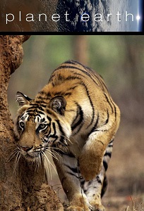 პლანეტა დედამიწა