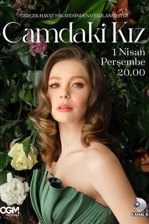 გოგონა ფანჯარაში