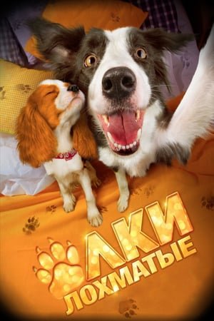 ფუმფულა ნაძვები