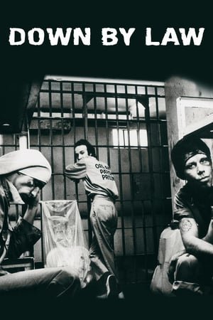 კანონგარეშე