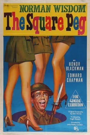 მისტერ პიტკინი: მტრის ზურგში