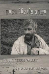 დიდი მწვანე ველი