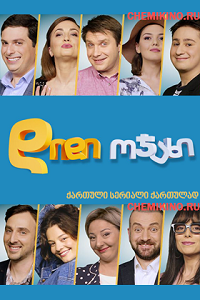 დიდი ოჯახი