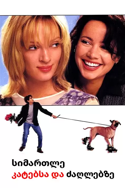 სიმართლე კატებსა და ძაღლებზე ქართულად | simartle katebsa da daglebze qartulad | The Truth About Cats &amp; Dogs