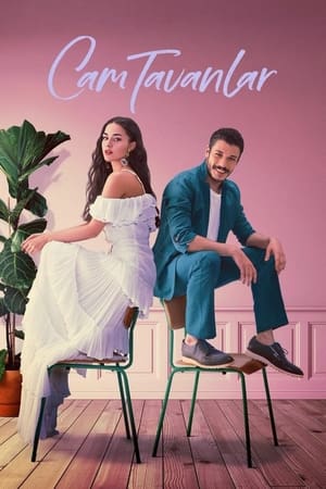 მინის ჭერი