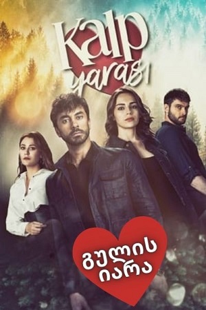 გულის ჭრილობა, გულის იარა